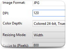BlueFox Free PDF to JPG Converter