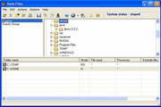 Protect Files Pro