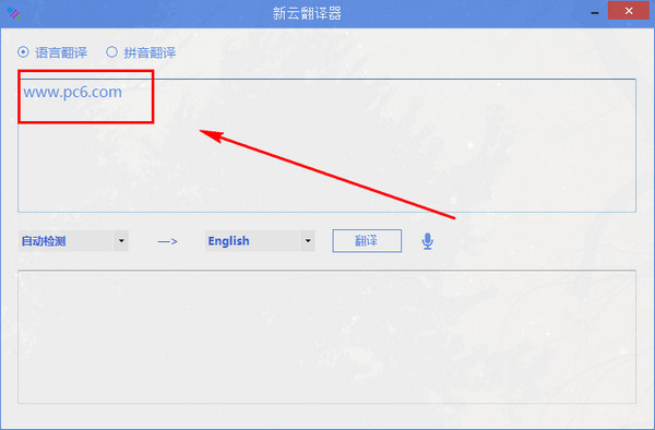 新云翻译器