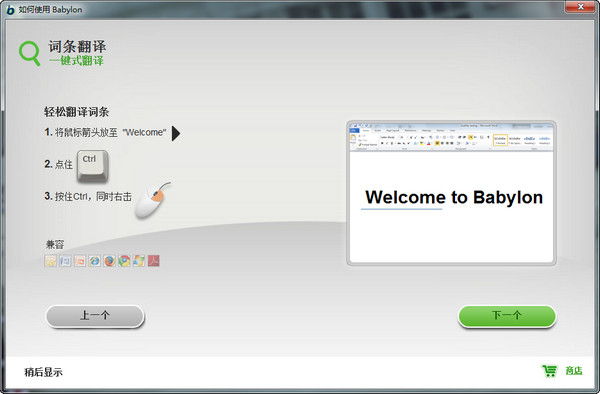 Babylon Pro 英文翻译下载