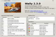 Wally For Linux