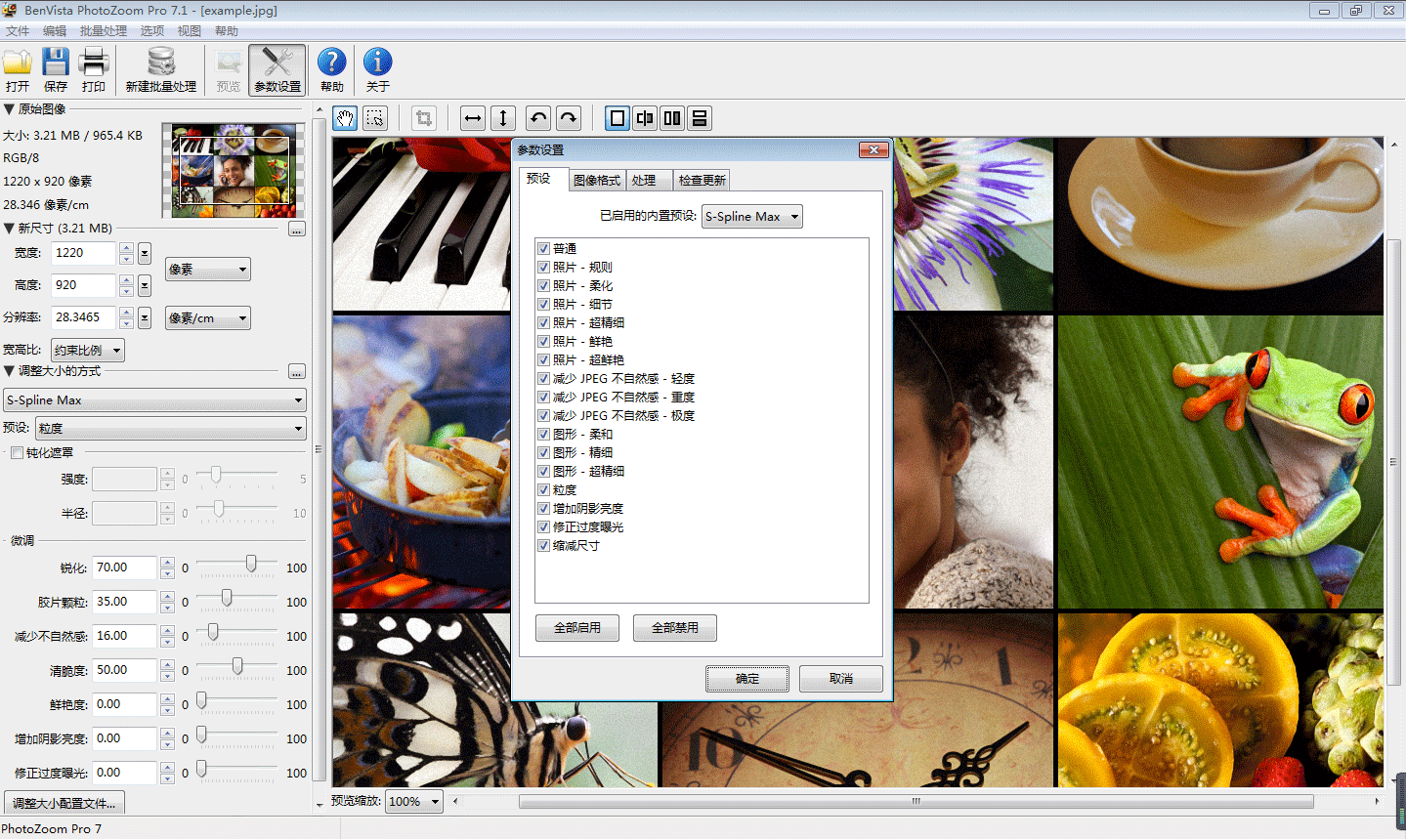 PhotoZoom Pro图片无损放大软件(Win版)