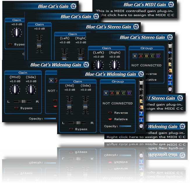 Blue Cat-s Gain Suite For Win x64 DX