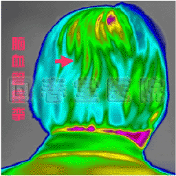 CC010网站收集程序