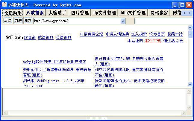 WebPig 自助站长工具