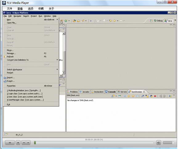 FLV-Media Player