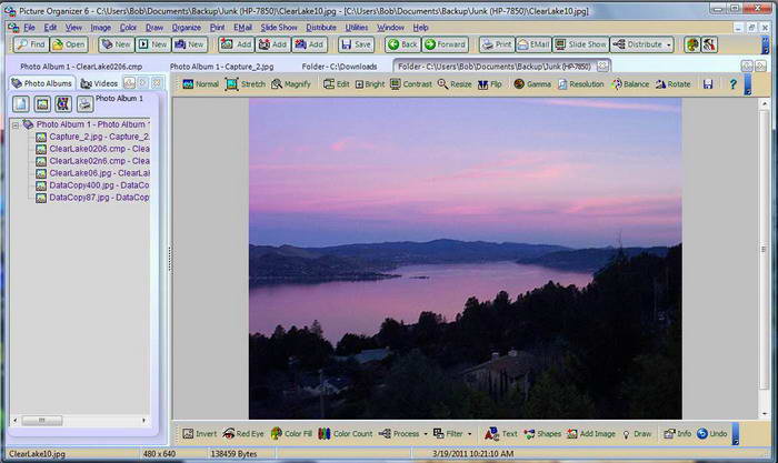 The Picture Organizer