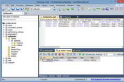 SQLyog x64