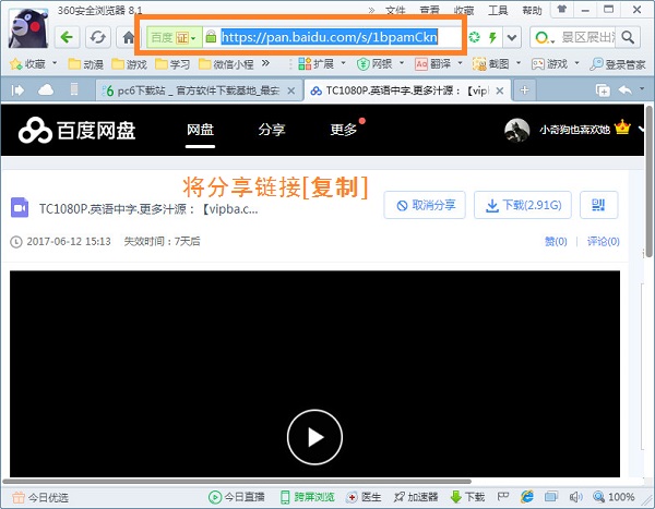 Pan Download ShareCopy