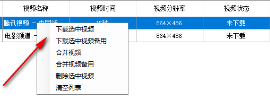 马赛克视频助手