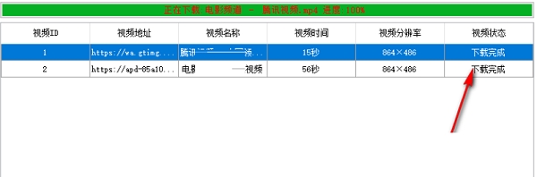 马赛克视频助手