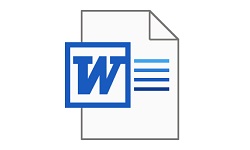 word 2010