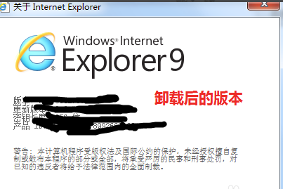 IE10(Internet Explorer 10)
