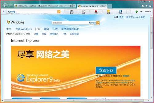 IE9 (Internet explorer 9)