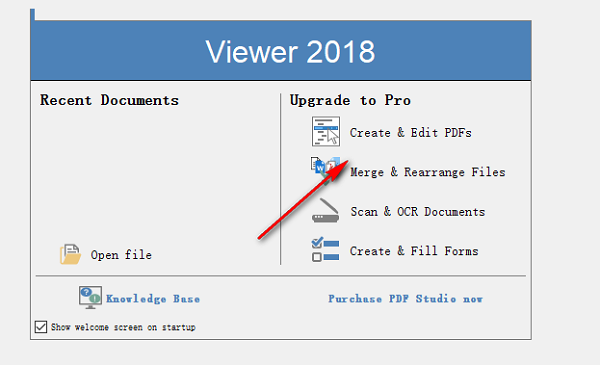 PDF Studio Viewer