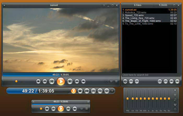 Zoom Player Professional
