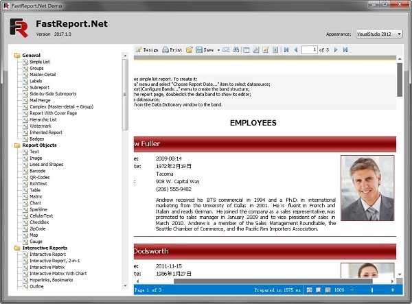 fastreport .net