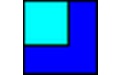 Netica