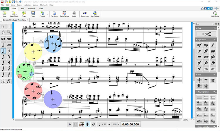 NCH Crescendo