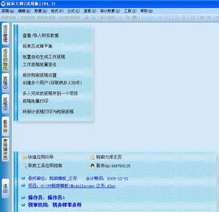 税审大师(审计软件)