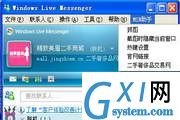 MSN截屏抓图插件·精致美眉MSN助手