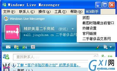 MSN截屏抓图插件·精致美眉MSN助手