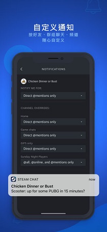 steam chat截图5