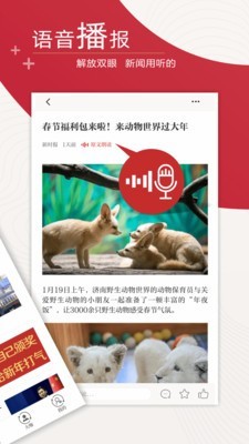 新时报app截图4