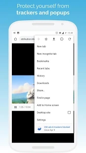kiwibrowser浏览器截图2