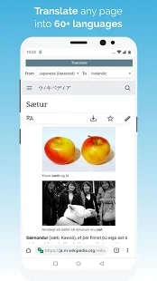 kiwibrowser浏览器截图3