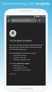 kiwibrowser浏览器截图4