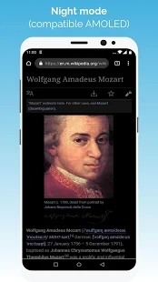 kiwibrowser浏览器