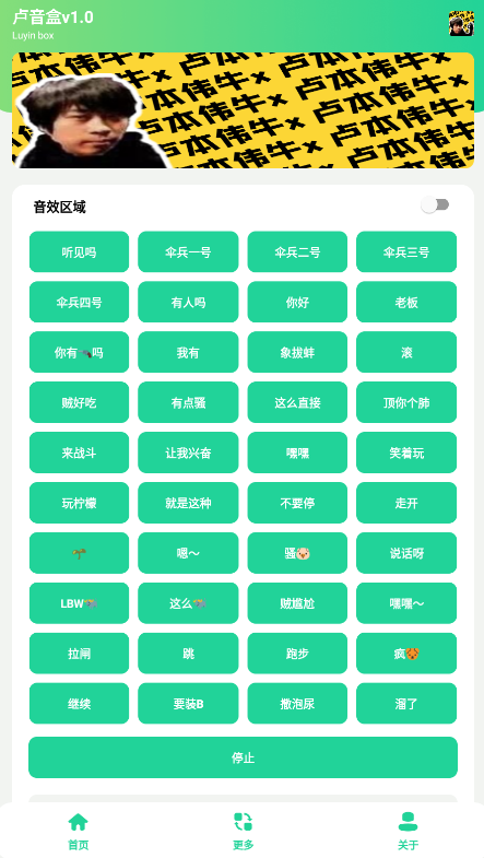 卢音盒截图2