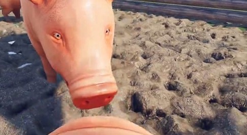 骚猪模拟器截图2