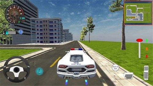 真正的豪华警车截图2