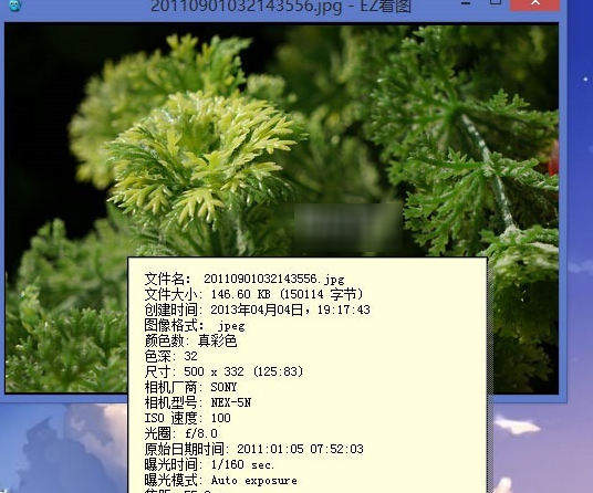 EzViewer