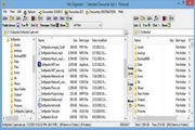 File Organiser