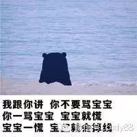XZL袖珍龙汉字系统