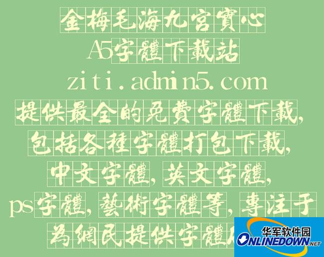 金梅毛海九宫实心