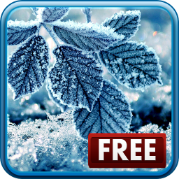 Winter Realistic Screensaver