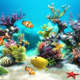 3D Funny Fish Screensaver