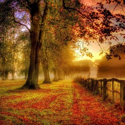 Perfect Dawn Screensaver