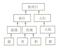 生物题库管理系统