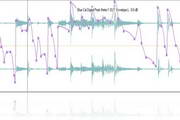 Blue Cat-s Digital Peak Meter For VST (dll only)