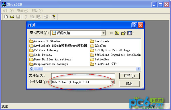 DIB位图显示(ShowDIB)
