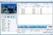Joboshare DVD to WMV Converter
