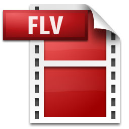 Any media To FLV