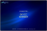 skycc营销软件绿色版丨组合营销软件