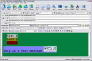 Auto Mail Sender