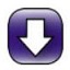 FreeRapid